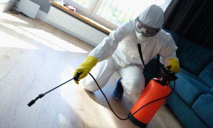 How Pest Control Works: Steps, Treatments, & Results
