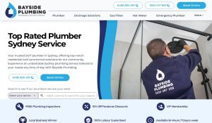 baysideplumbing review