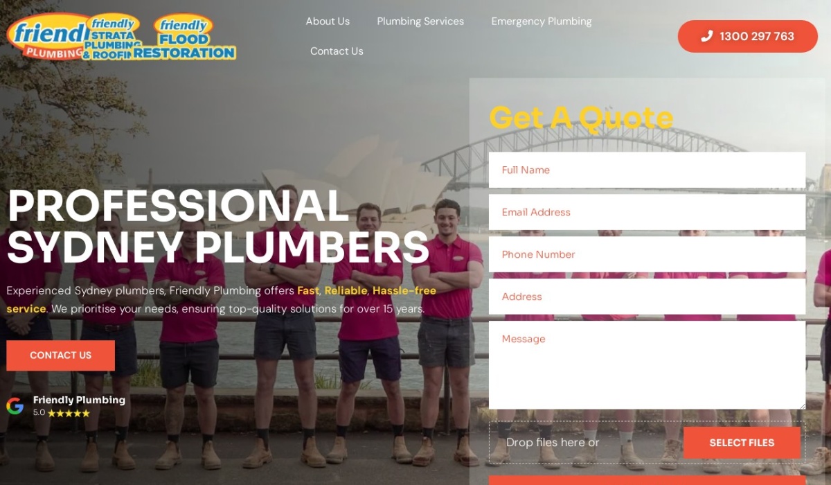 friendlyplumbing review