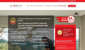 pestawaysydney review