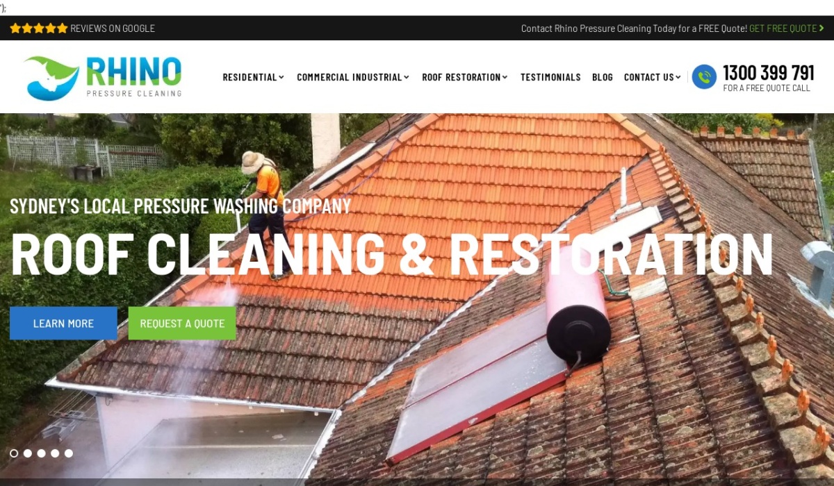 rhinopressurecleaning review