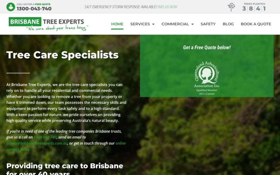 Brisbane Tree Experts