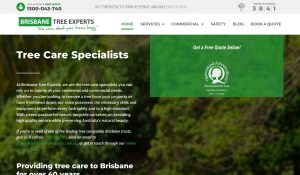 brisbanetreeexperts review