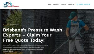 thepressurecleanguys review