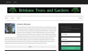 brisbanetrees review