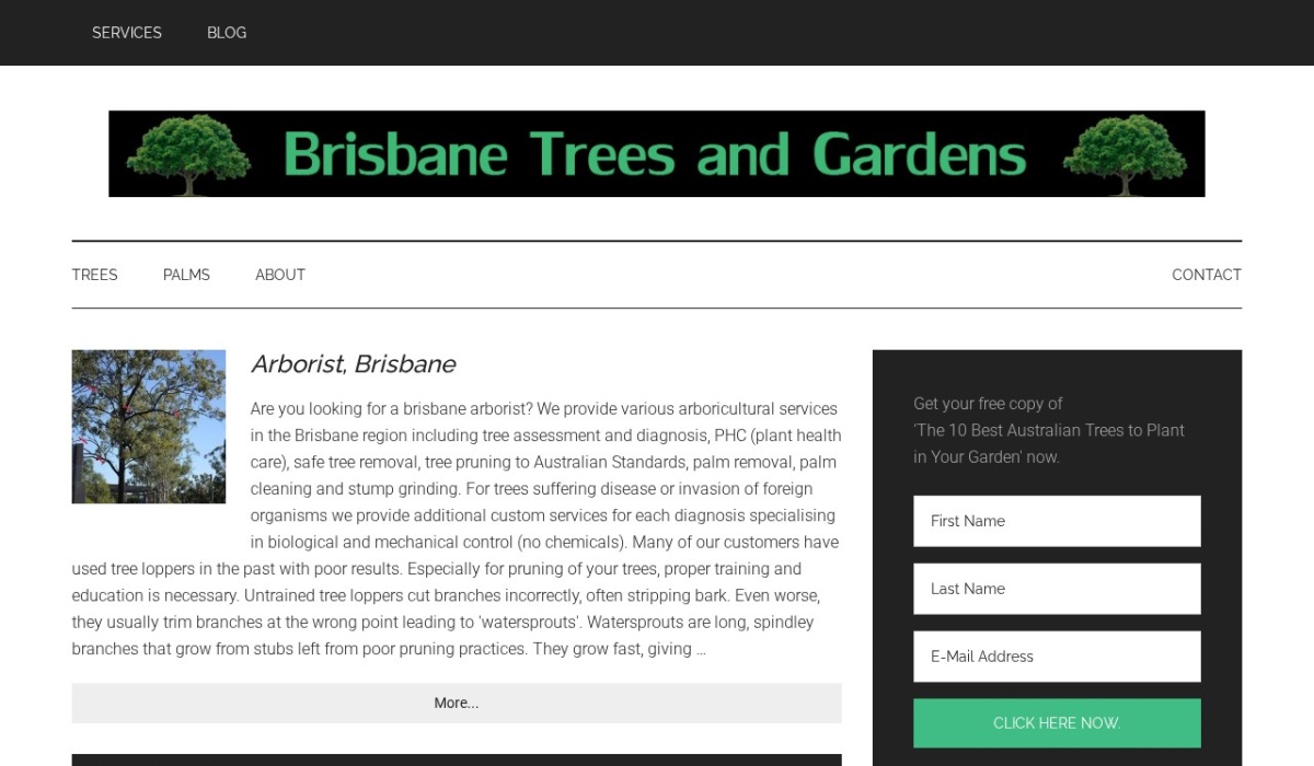 brisbanetrees review