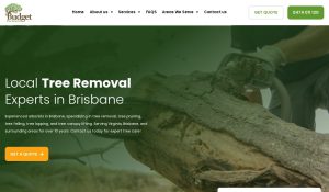 budgettreeremoval review