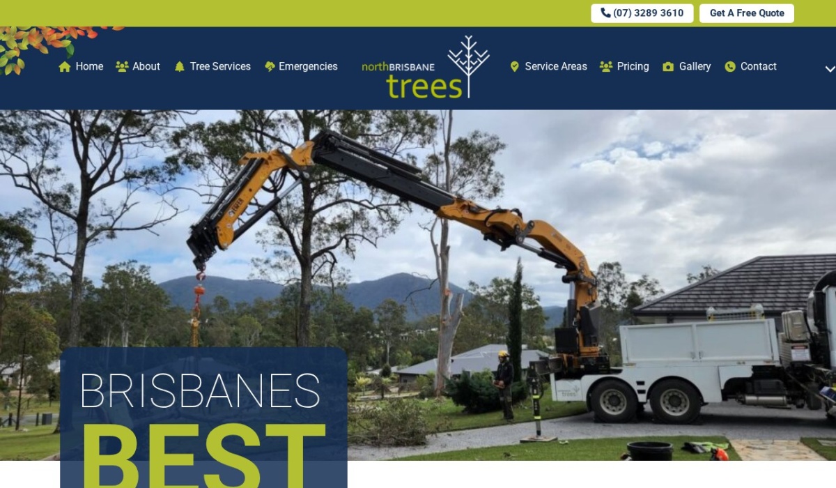 northbrisbanetrees review