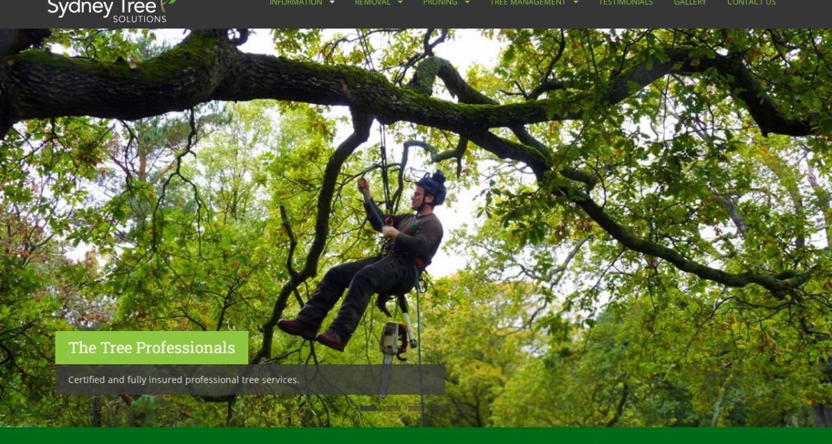Sydney Tree Solutions