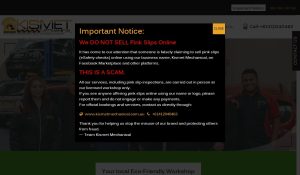 kismetmechanical review