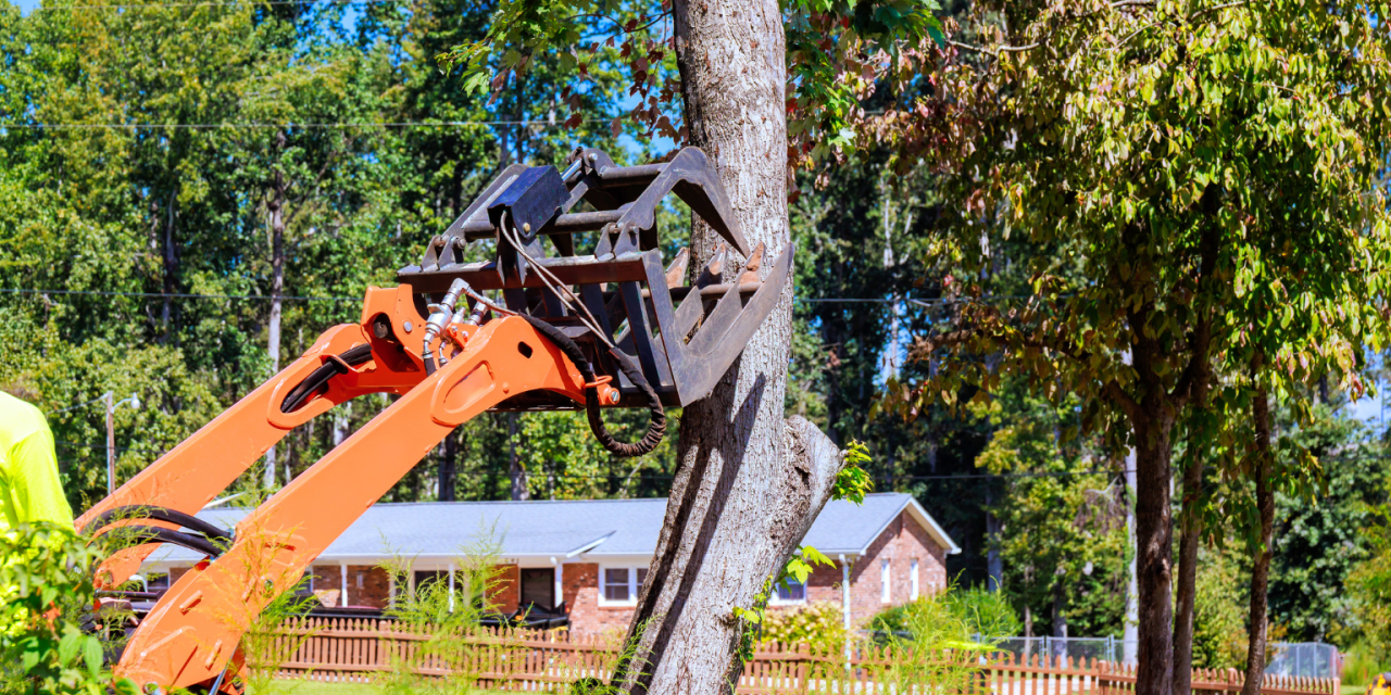 How to Start a Tree Removal Business in 2026